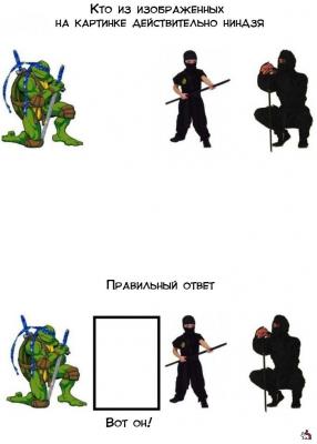 Прикрепленное изображение: ninja.jpg